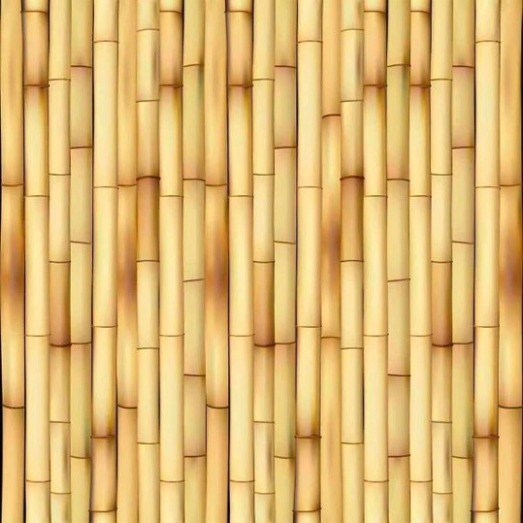 Papel de Parede Adesivo Bambu 195719759