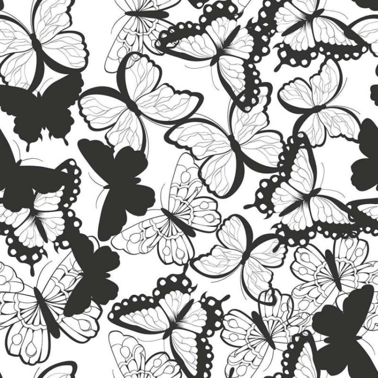 Papel de Parede Adesivo Borboleta N02226