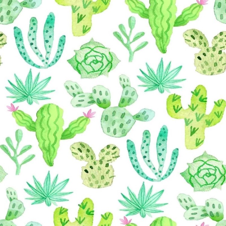 Papel de Parede Adesivo Cactos Aquarela N07001