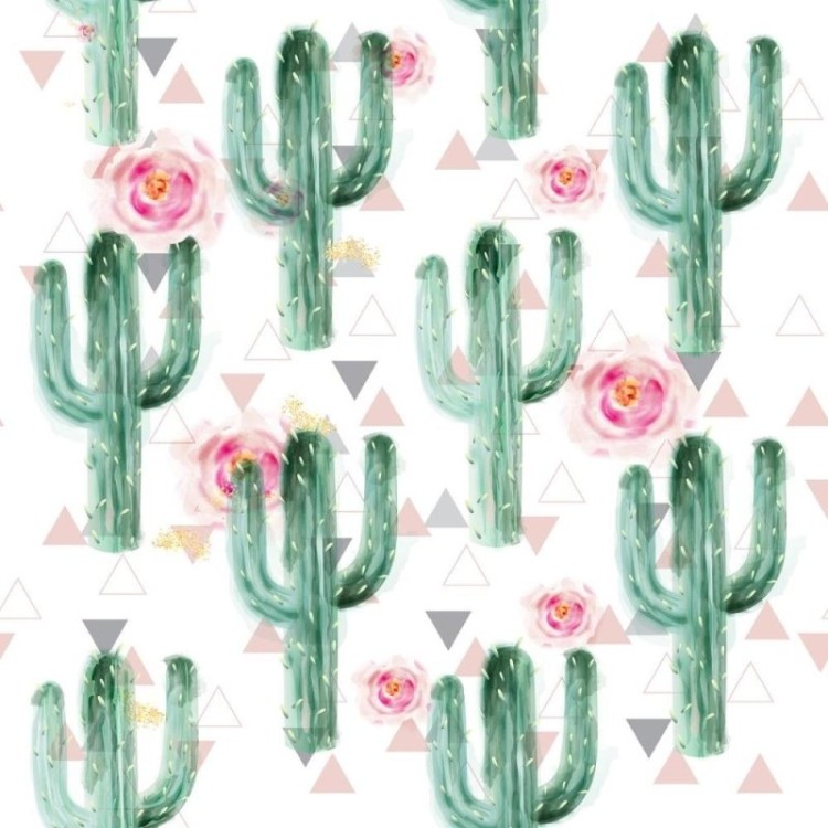 Papel de Parede Adesivo Cactos e Flores N011108