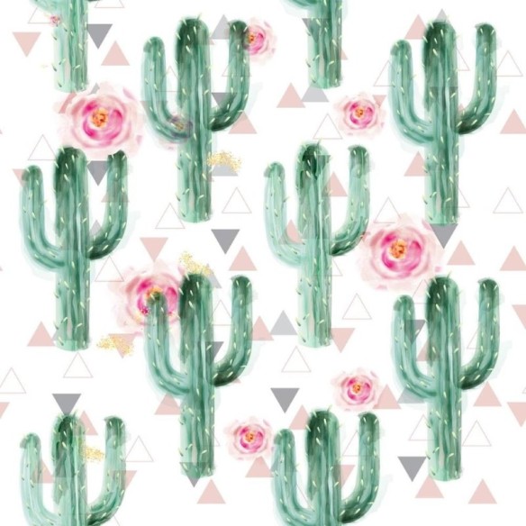 Papel de Parede Adesivo Cactos e Flores N011108