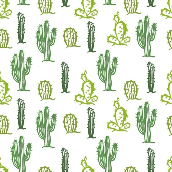 Papel de Parede Adesivo Cactos N019012