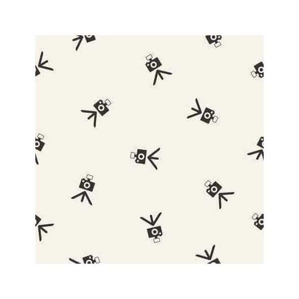 Papel de Parede Adesivo Câmera Tumblr 210403237
