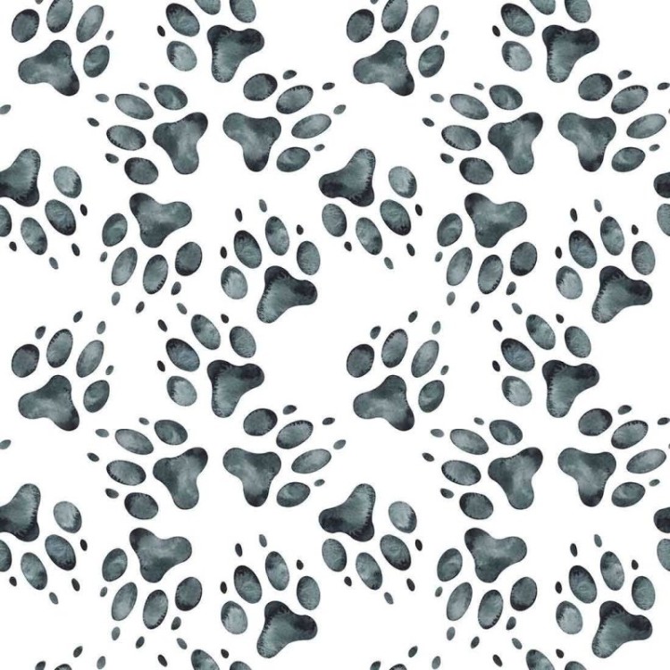 Papel de Parede Adesivo Comércio Pet Animal...