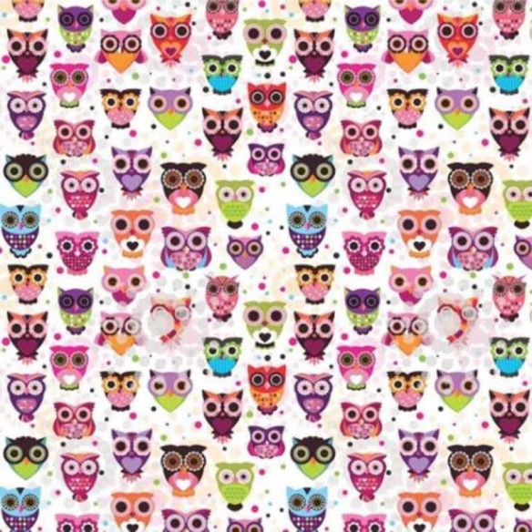 Papel de Parede Adesivo Corujas 67324039