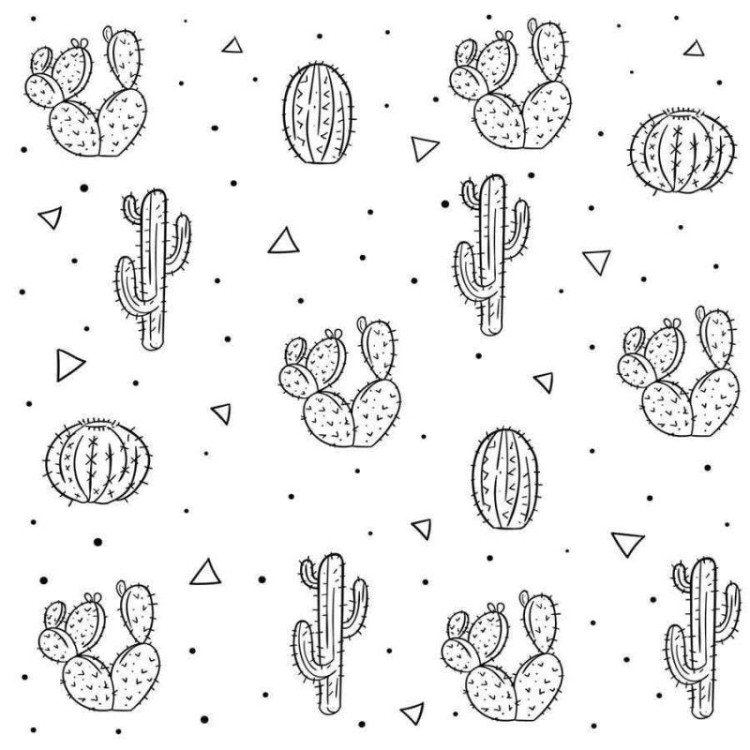 desenhos de cactos para colorir 7 –  – Desenhos para Colorir