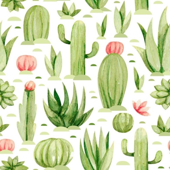 Papel de Parede Adesivo Deserto Cactos e Suculentas N013056
