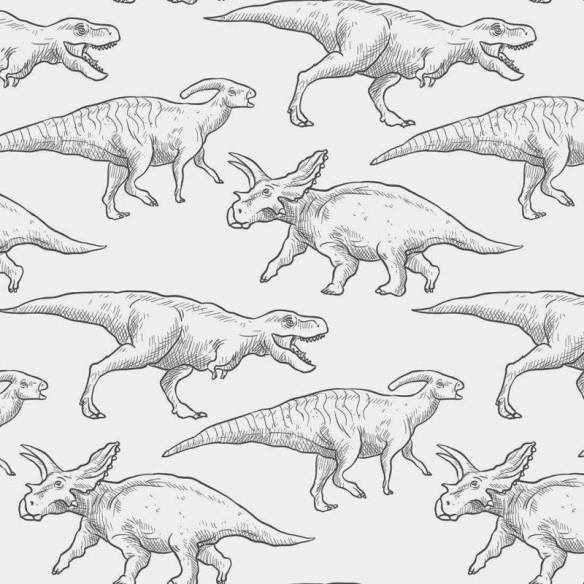 Papel de Parede Adesivo Dinossauro N50856