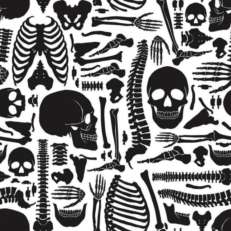 Papel de Parede Adesivo Esqueleto em Preto e...