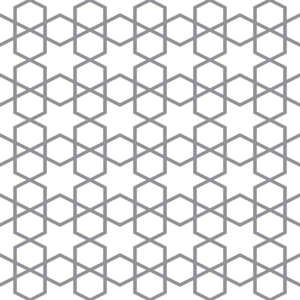Papel de Parede Adesivo Estrela de Seis Pontas N05268