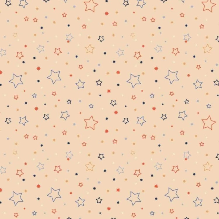 Papel de Parede Adesivo Estrela N223896B