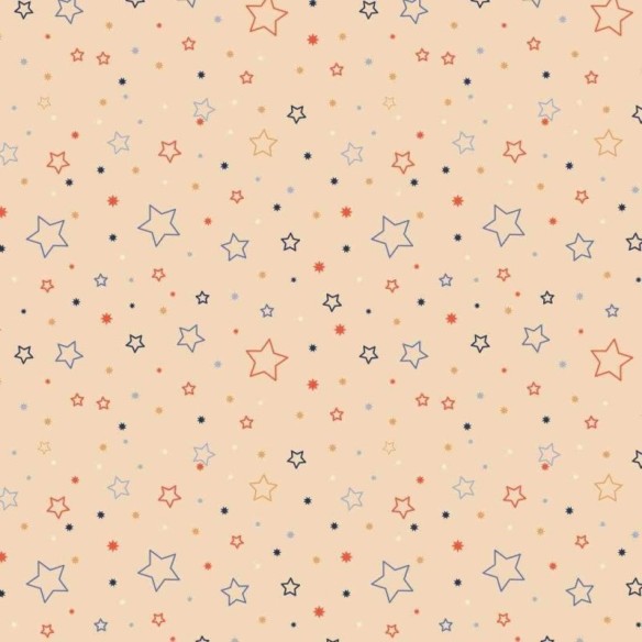 Papel de Parede Adesivo Estrela N223896B
