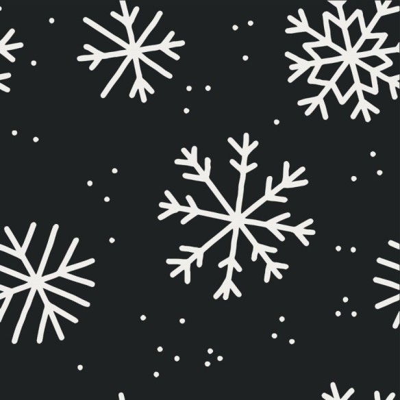 Papel de Parede Adesivo flocos de neve inverno N014094