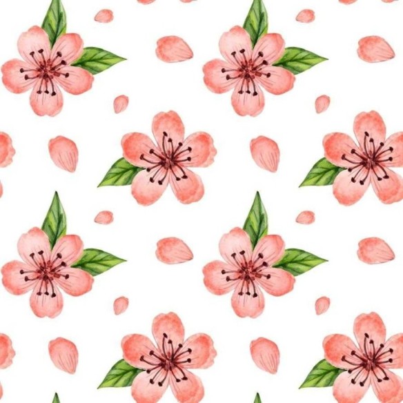 Papel de Parede Adesivo Flor de Cerejeira em Aquarela N06127