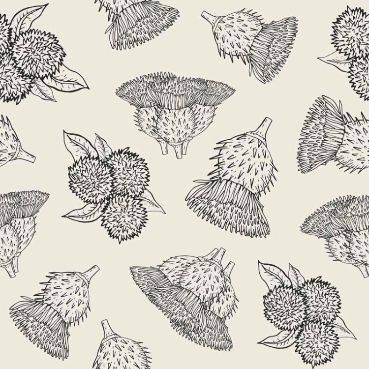 Papel de Parede Adesivo Flor Exótica Preto e...