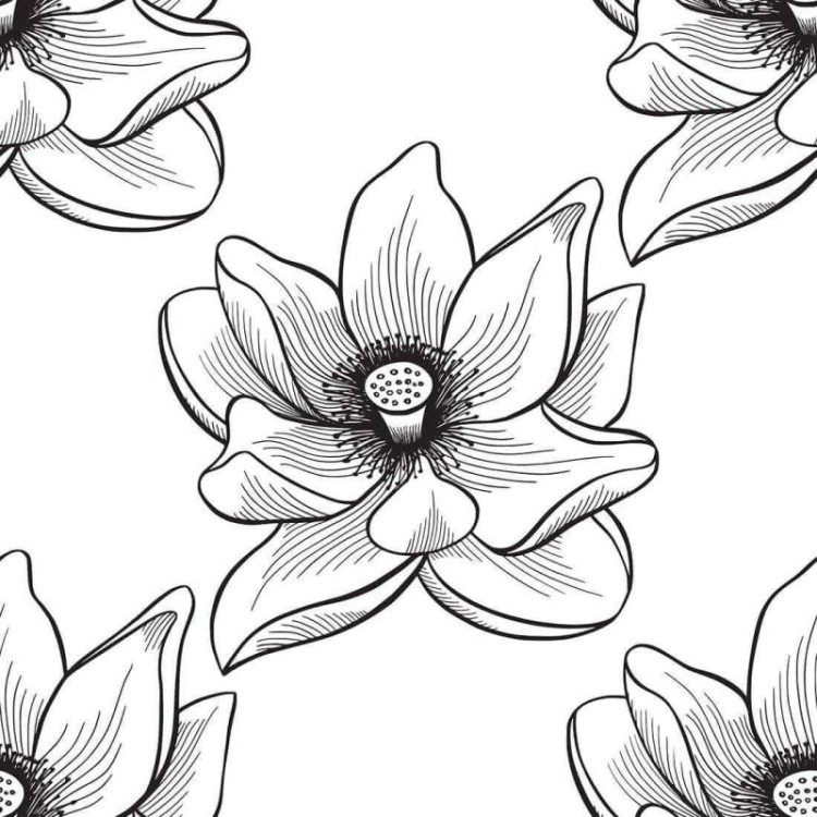 Papel de Parede Adesivo Flor N287B