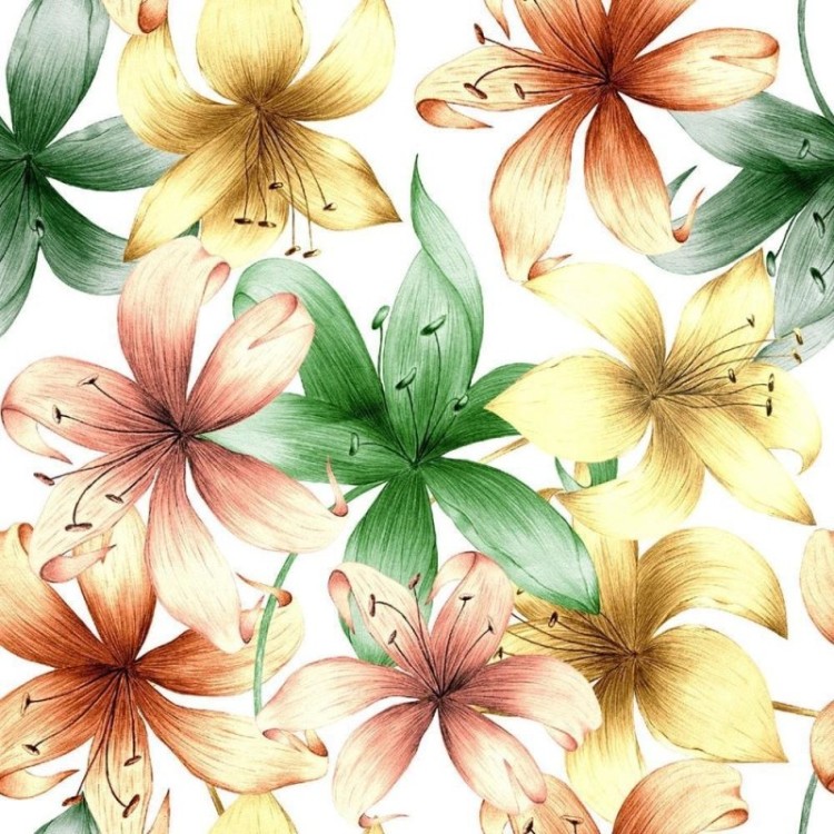 Papel de Parede Adesivo Floral colorido N08176