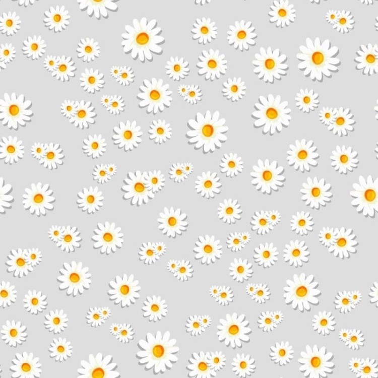 Papel de Parede Adesivo Floral Margaridas N011115