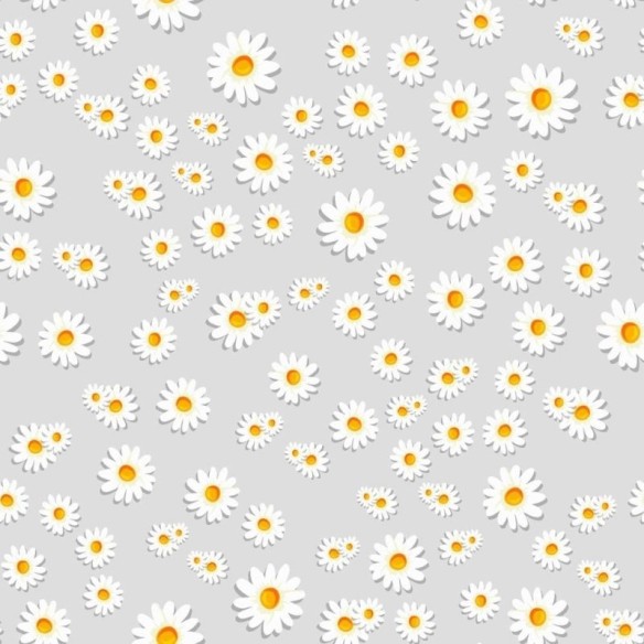Papel de Parede Adesivo Floral Margaridas N011115
