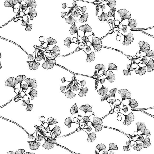 Papel de Parede Adesivo Floral Minimalista  N04160