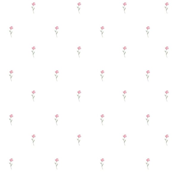 Papel de Parede Adesivo Floral Rosas Minimalistas N017061