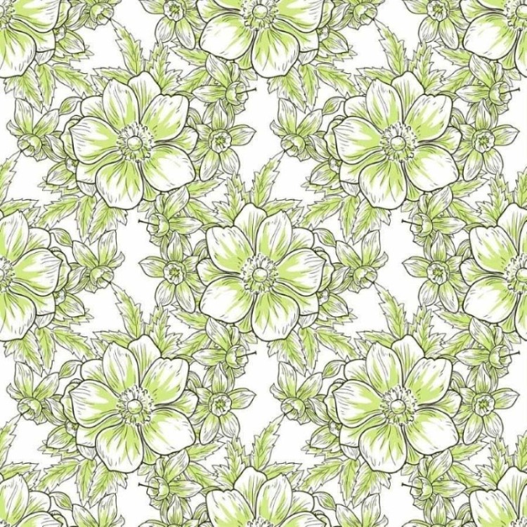 Papel de Parede Adesivo Floral Verde N012115