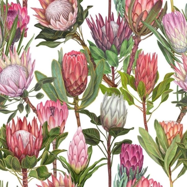 Papel de Parede Adesivo Flores Tropicais N012056