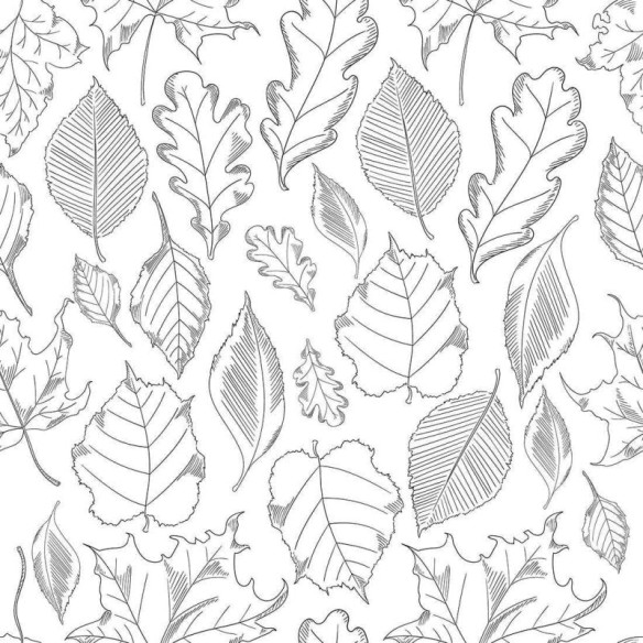 Papel de Parede Adesivo Folha N02211