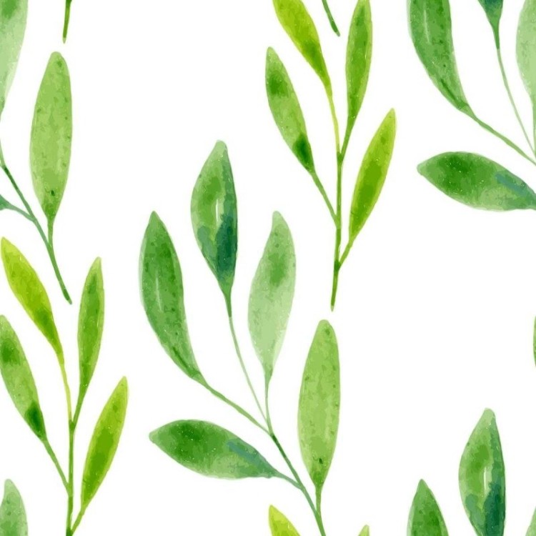 Papel de Parede Adesivo Folhagem Tropical...