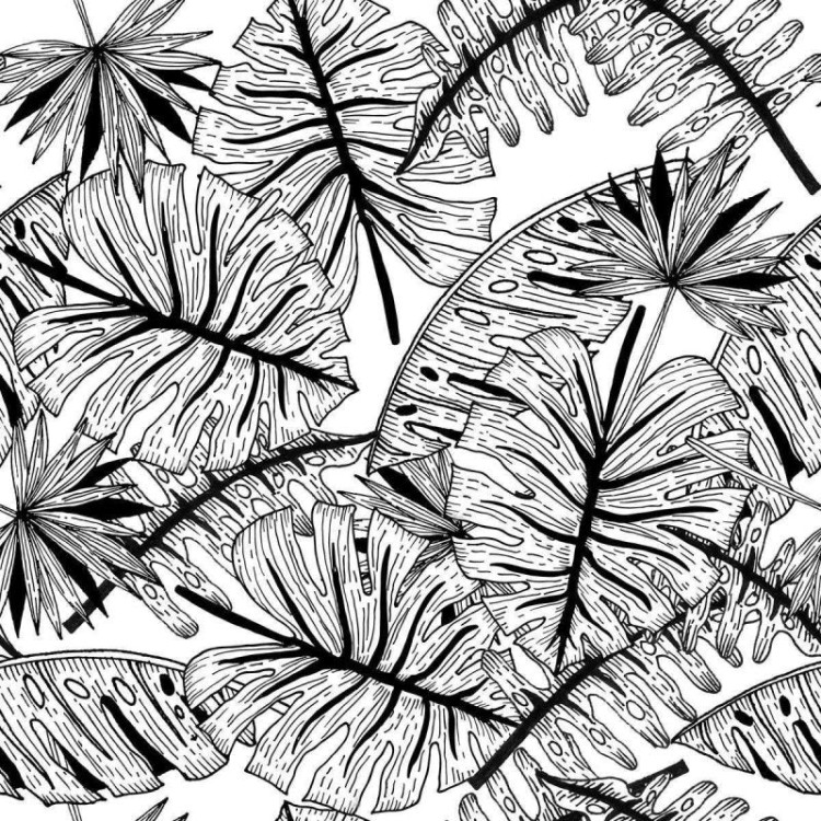 Papel de Parede Adesivo Folhagem Tropical N04167