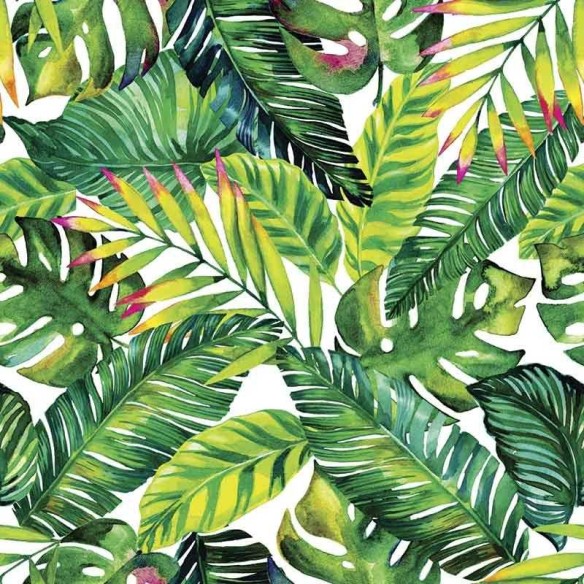Papel de Parede Adesivo Folhagem Tropical N06003