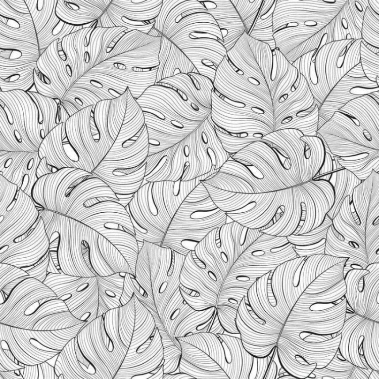 Papel de Parede Adesivo Folhagem Tropical N06117