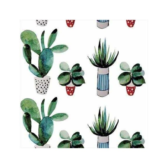 Papel de Parede Adesivo Folhas cacto Natureza Jovem 5243