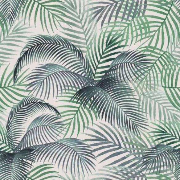Papel de Parede Adesivo Folhas de Palmeiras N012069