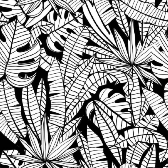 Papel de Parede Adesivo Folhas Tropicais N011138