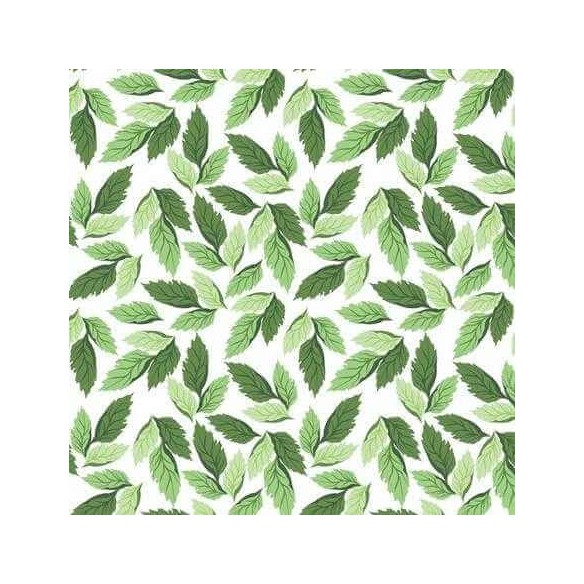 Papel de Parede Adesivo Folhas Verdes 542