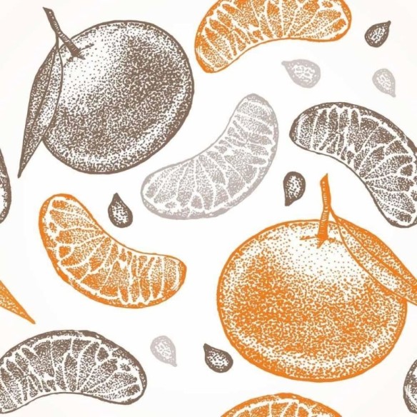 Papel de Parede Adesivo Frutas Cítricas N015083
