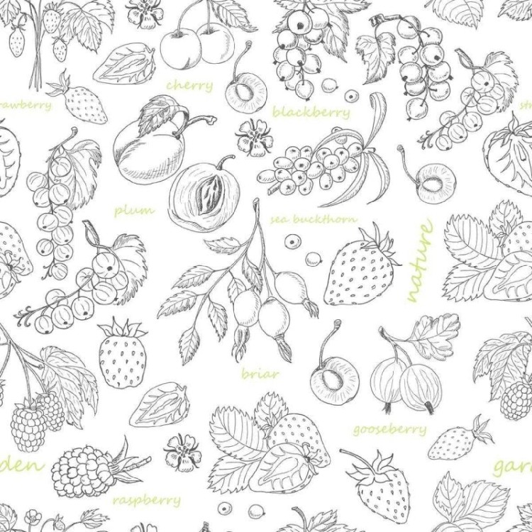 Papel de Parede Adesivo Frutas Preto e Branco...