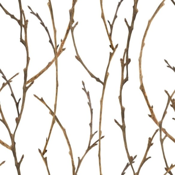 Papel de Parede Adesivo Galhos N013284