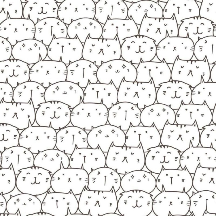 Papel de Parede Adesivo Gatos para colorir N04253