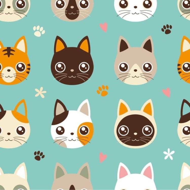 Papel de parede gatos branco e preto