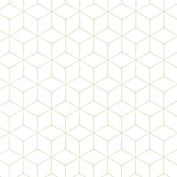 Papel de Parede Adesivo Geométrico 3D N02247