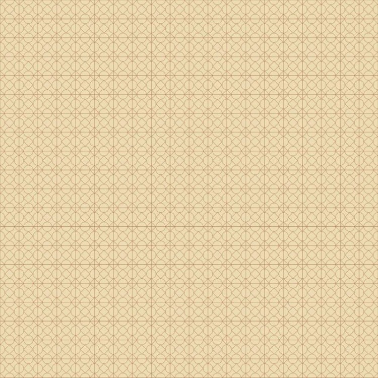 Papel de Parede Adesivo Geométrico Minimalista...