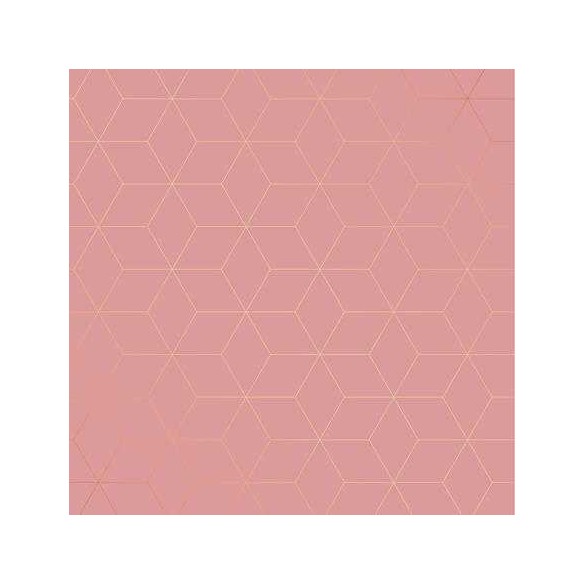 Papel de Parede Adesivo Geométrico Moderno N21988D