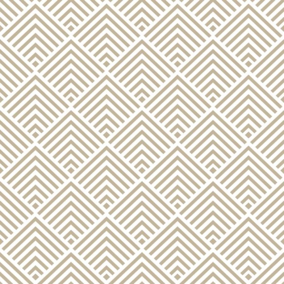 Papel de Parede Adesivo Geométrico N010158