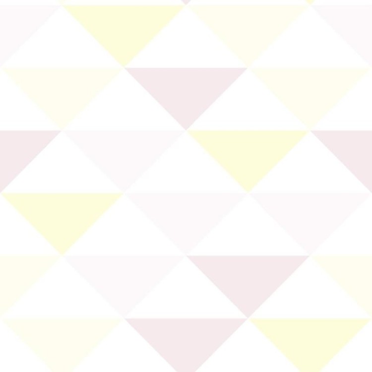 Papel de Parede Adesivo Geométrico N011088