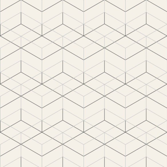 Papel de Parede Adesivo Geométrico N013260