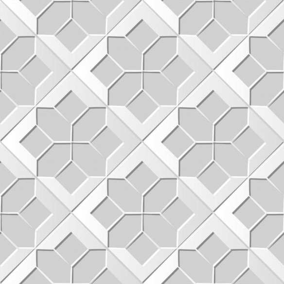 Papel de Parede Adesivo Geométrico N016081