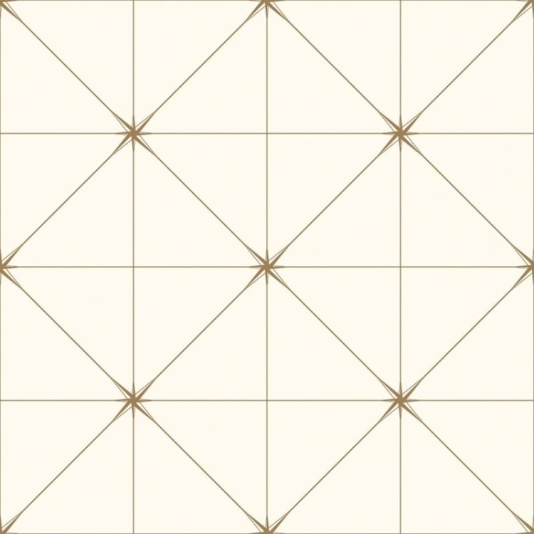 Papel de Parede Adesivo Geométrico N016082