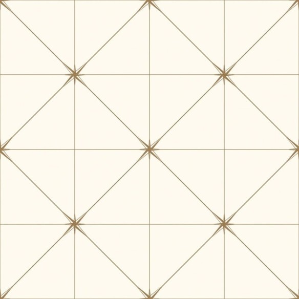 Papel de Parede Adesivo Geométrico N016082